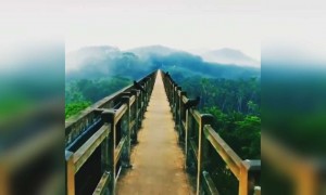 இன்று விண்ணிலவில் அந்த ஈர நினைவில் கன்று