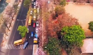 பெங்களூரு !!