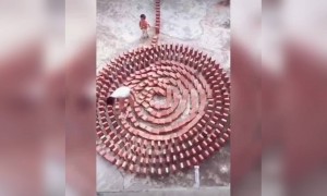 அடப்பாவி !!!!!!