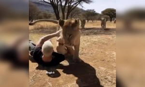 உண்மையான பாசம் !!!!