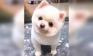 என்ன அழகு