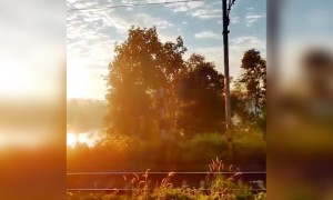 அழுகை என்னும் !!