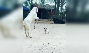 பயமா ! எனக்கா !!