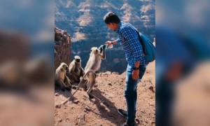 நீர் யாருக்கும் சொந்தம் இல்லை !