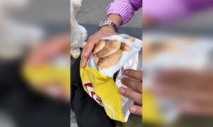 அப்போ ! லேஸ் இல்லையா !!