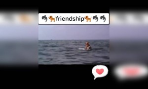 இது தான் நட்போ !