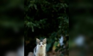 ஐ !! அழகா இருக்கே !