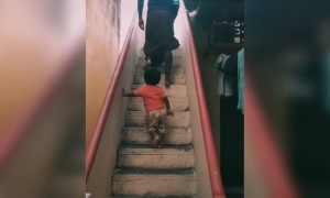 அது பாசம் !!