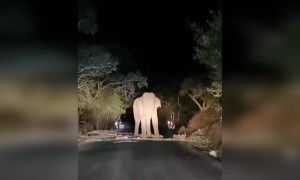 சத்தியமங்கலம் ராஜா !!