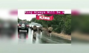 எப்போதும் நான் தான் ராஜா !!