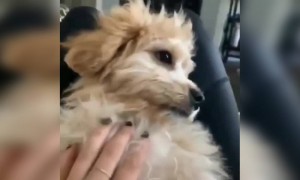 அடிப்பாவி !! தூங்க விடமாட்டீறாங்க