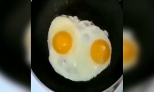 ரொம்ப ஓவர்டா !!