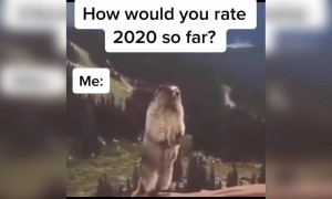 இந்த வருஷம் எப்படி இருக்கு !!