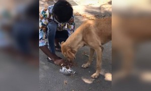 உங்களால முடிச்ச உதவியை செய்யுங்க !!!