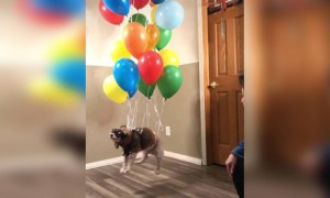 என்னடா பண்றீங்க என்னை !!!!!