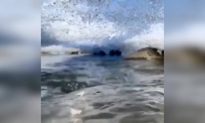 பனியில் நீர் !!