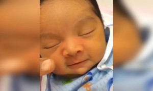 அந்த அழகை பாருங்க !!