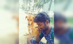 உண்மையான பாசம் !!!!!