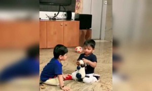 அன்புச் சண்டை