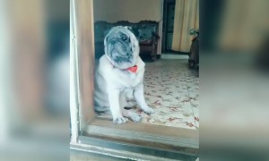 காலையில் 9 மணிக்கு !!