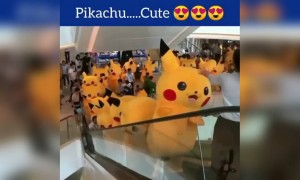 பிகாச்சு !!