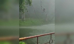 தனிமையிலே !!!