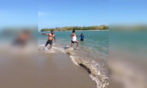 சாணக்யா !! சாணக்யா !!