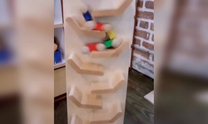 சின்ன பசங்க நிலைமை தான் இப்போ !!!