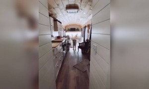 வீடு வேற லெவல் !!!!