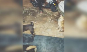 அந்த மனசு தான் கடவுள் !!!