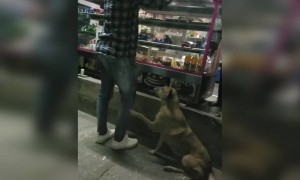 சூப்பர் பாஸ் !! அருமை !!