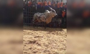 அந்த பயம் இருக்கணும் !!!!