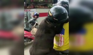 யாரு சாமி இவரு !! இவ்ளோ நல்லவரா இருக்காரு !!