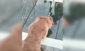 பயம் இருக்காதா !!!