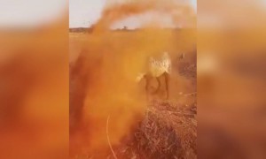 நல்லவன் தான் !