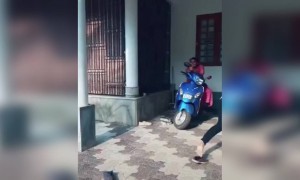 ஓடு ! ஓடு ! நிக்காத !!