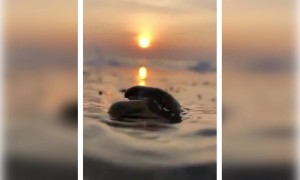 காதலியின் அருமை !!!