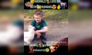 மனுஷனுக்கு கூட இது தெரியாது !!!