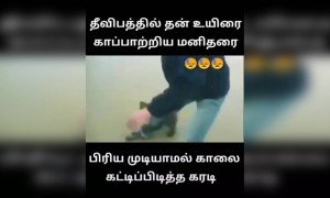 அது தான் உண்மையான அன்பு !!