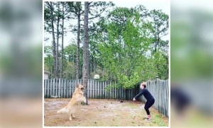 சரித்திரம் புரட்டு !!