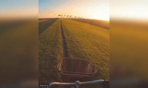 இது போல் சுதந்திரம் வேண்டும் !!