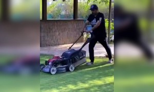 சிரஞ்சீவி சவாலை ஏற்றுக்கொண்ட வெங்கடேஷ் !