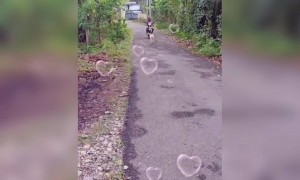 புத்திசாலி போல !!!