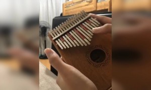 இது என்ன சாங் ! சொல்லுங்க பாக்கலாம் !!