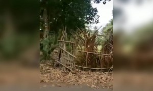 சூப்பர்மா ! !