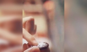 தளபதி விஜய் !