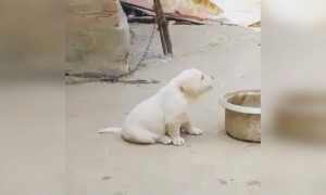 வயிறு ஃபுல் ஆயிடுச்சுல்ல! அதான் இந்த குசும்பு..!