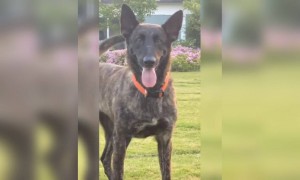 அம்மா !! மாயி அண்ணா !!