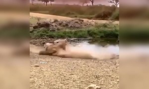 செம உஷார் !!