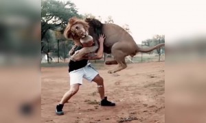 என் உலகே நீதான்